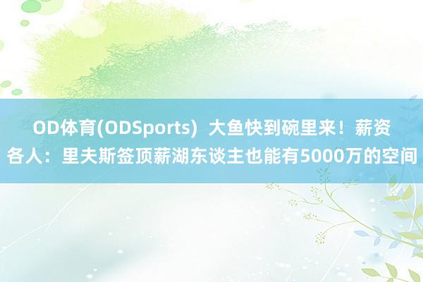 OD体育(ODSports)  大鱼快到碗里来！薪资各人：里夫斯签顶薪湖东谈主也能有5000万的空间