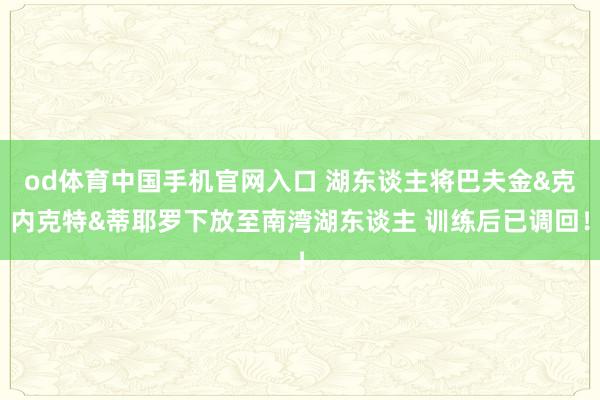 od体育中国手机官网入口 湖东谈主将巴夫金&克内克特&蒂耶罗下放至南湾湖东谈主 训练后已调回！