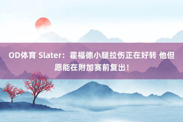 OD体育 Slater：霍福德小腿拉伤正在好转 他但愿能在附加赛前复出！