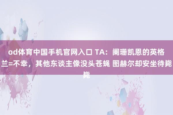 od体育中国手机官网入口 TA：阑珊凯恩的英格兰=不幸，其他东谈主像没头苍蝇 图赫尔却安坐待毙
