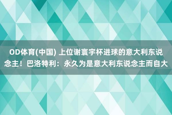 OD体育(中国) 上位谢寰宇杯进球的意大利东说念主！巴洛特利：永久为是意大利东说念主而自大