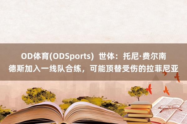 OD体育(ODSports)  世体：托尼·费尔南德斯加入一线队合练，可能顶替受伤的拉菲尼亚
