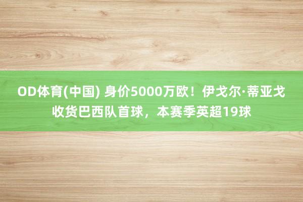 OD体育(中国) 身价5000万欧！伊戈尔·蒂亚戈收货巴西队首球，本赛季英超19球
