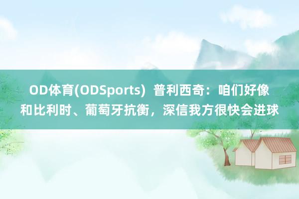 OD体育(ODSports)  普利西奇：咱们好像和比利时、葡萄牙抗衡，深信我方很快会进球