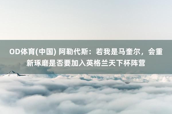 OD体育(中国) 阿勒代斯：若我是马奎尔，会重新琢磨是否要加入英格兰天下杯阵营