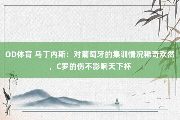 OD体育 马丁内斯：对葡萄牙的集训情况稀奇欢然，C罗的伤不影响天下杯