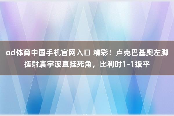 od体育中国手机官网入口 精彩！卢克巴基奥左脚搓射寰宇波直挂死角，比利时1-1扳平