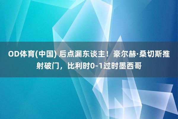 OD体育(中国) 后点漏东谈主！豪尔赫·桑切斯推射破门，比利时0-1过时墨西哥