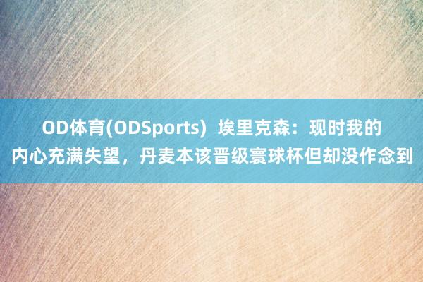 OD体育(ODSports)  埃里克森：现时我的内心充满失望，丹麦本该晋级寰球杯但却没作念到