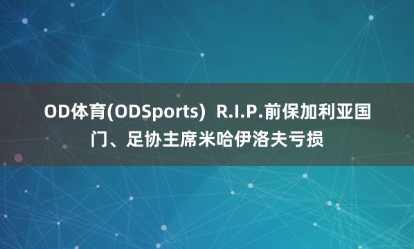 OD体育(ODSports)  R.I.P.前保加利亚国门、足协主席米哈伊洛夫亏损