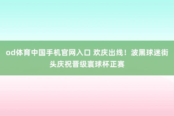 od体育中国手机官网入口 欢庆出线！波黑球迷街头庆祝晋级寰球杯正赛