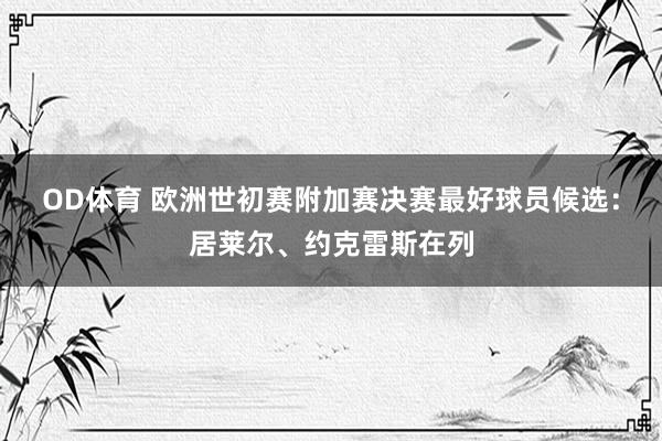 OD体育 欧洲世初赛附加赛决赛最好球员候选：居莱尔、约克雷斯在列