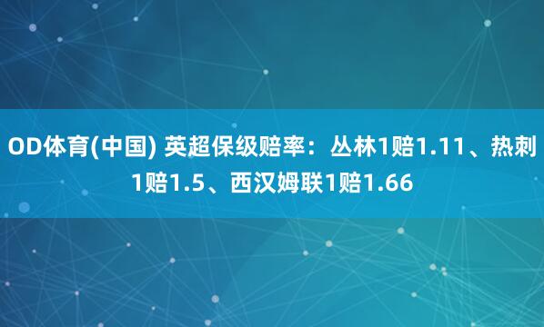 OD体育(中国) 英超保级赔率：丛林1赔1.11、热刺1赔1.5、西汉姆联1赔1.66
