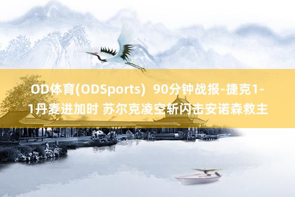OD体育(ODSports)  90分钟战报-捷克1-1丹麦进加时 苏尔克凌空斩闪击安诺森救主