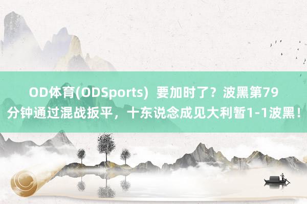 OD体育(ODSports)  要加时了？波黑第79分钟通过混战扳平，十东说念成见大利暂1-1波黑！