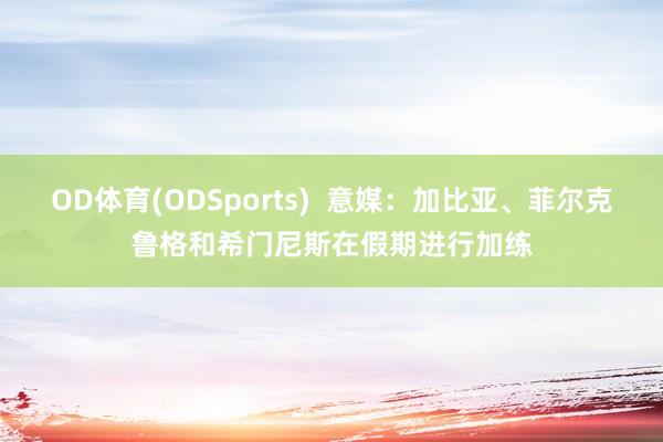 OD体育(ODSports)  意媒：加比亚、菲尔克鲁格和希门尼斯在假期进行加练
