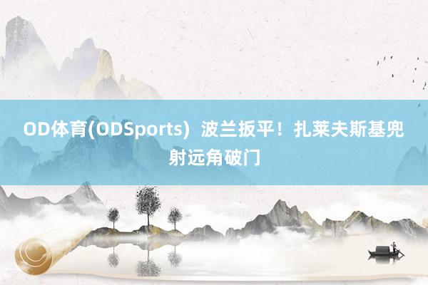 OD体育(ODSports)  波兰扳平！扎莱夫斯基兜射远角破门