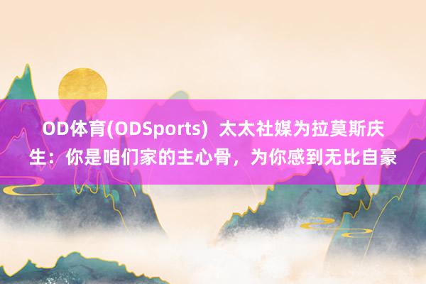 OD体育(ODSports)  太太社媒为拉莫斯庆生：你是咱们家的主心骨，为你感到无比自豪