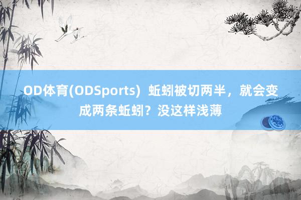 OD体育(ODSports)  蚯蚓被切两半，就会变成两条蚯蚓？没这样浅薄