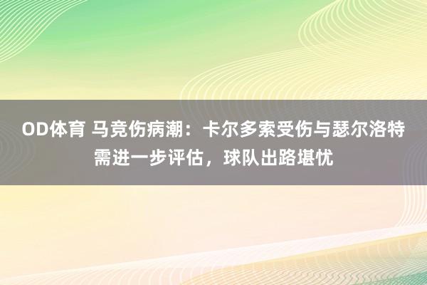 OD体育 马竞伤病潮：卡尔多索受伤与瑟尔洛特需进一步评估，球队出路堪忧