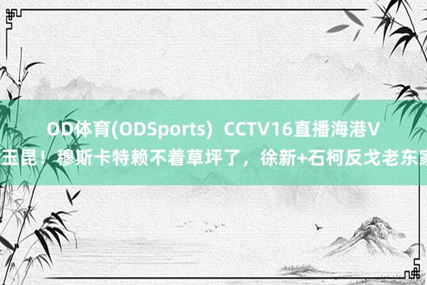 OD体育(ODSports)  CCTV16直播海港VS玉昆！穆斯卡特赖不着草坪了，徐新+石柯反戈老东家