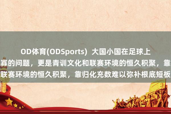 OD体育(ODSports)  大国小国在足球上的差距不单是是东谈主口多寡的问题，更是青训文化和联赛环境的恒久积聚，靠归化充数难以弥补根底短板