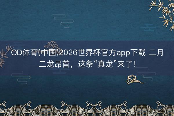 OD体育(中国)2026世界杯官方app下载 二月二龙昂首，这条“真龙”来了！