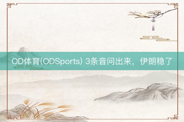 OD体育(ODSports) 3条音问出来，伊朗稳了