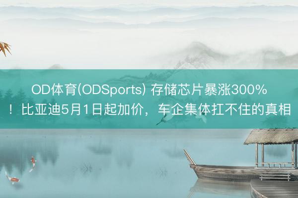 OD体育(ODSports) 存储芯片暴涨300%！比亚迪5月1日起加价，车企集体扛不住的真相