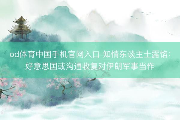 od体育中国手机官网入口 知情东谈主士露馅：好意思国或沟通收复对伊朗军事当作
