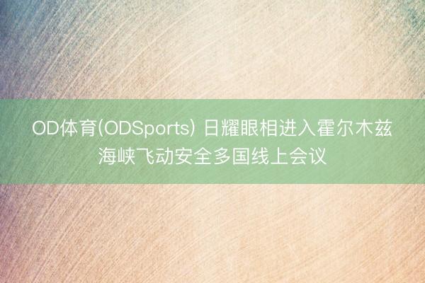 OD体育(ODSports) 日耀眼相进入霍尔木兹海峡飞动安全多国线上会议