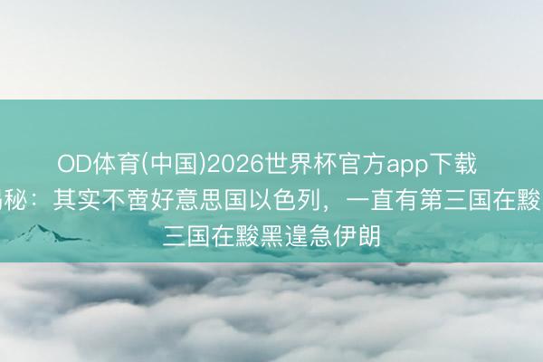 OD体育(中国)2026世界杯官方app下载 好意思媒揭秘：其实不啻好意思国以色列，一直有第三国在黢黑遑急伊朗