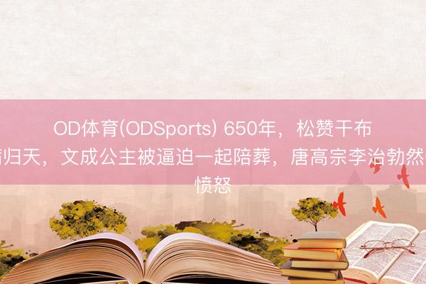 OD体育(ODSports) 650年，松赞干布因病归天，文成公主被逼迫一起陪葬，唐高宗李治勃然愤怒