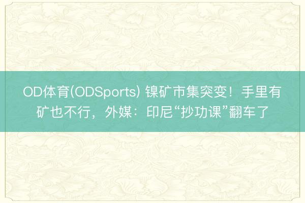 OD体育(ODSports) 镍矿市集突变！手里有矿也不行，外媒：印尼“抄功课”翻车了