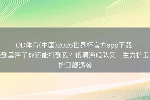 OD体育(中国)2026世界杯官方app下载 我都躲到里海了你还能打到我？俄黑海舰队又一主力护卫舰遇袭