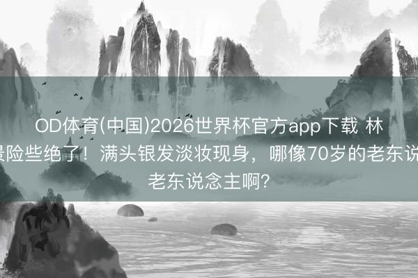 OD体育(中国)2026世界杯官方app下载 林青霞情景险些绝了！满头银发淡妆现身，哪像70岁的老东说念主啊？