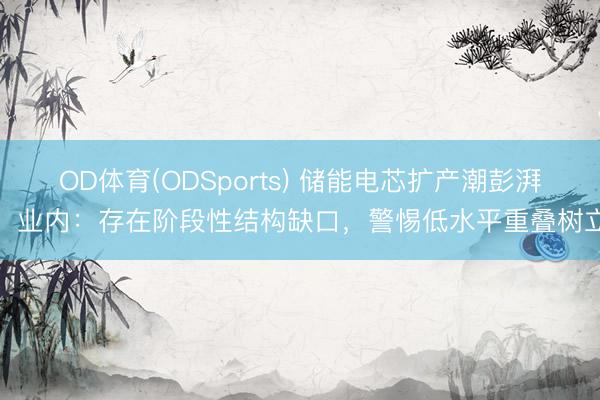 OD体育(ODSports) 储能电芯扩产潮彭湃，业内：存在阶段性结构缺口，警惕低水平重叠树立