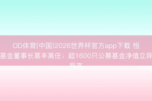 OD体育(中国)2026世界杯官方app下载 恒越基金董事长葛丰离任；超1600只公募基金净值立异高