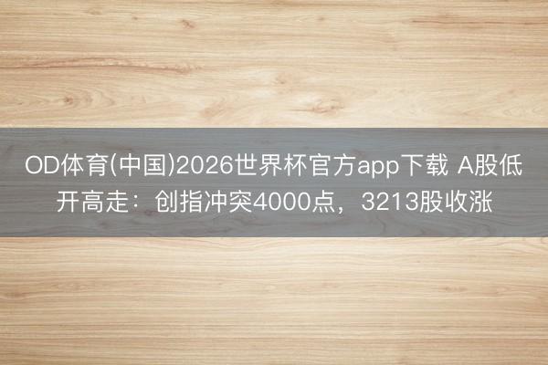 OD体育(中国)2026世界杯官方app下载 A股低开高走：创指冲突4000点，3213股收涨