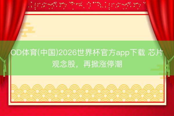 OD体育(中国)2026世界杯官方app下载 芯片观念股，再掀涨停潮