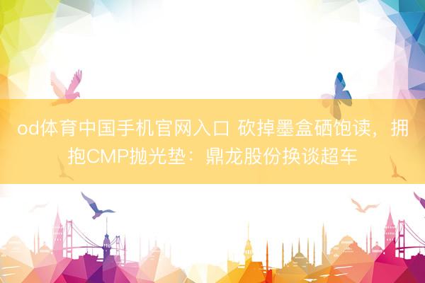 od体育中国手机官网入口 砍掉墨盒硒饱读，拥抱CMP抛光垫：鼎龙股份换谈超车