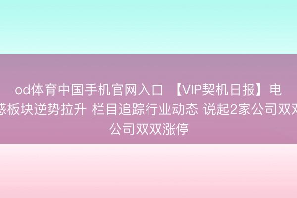 od体育中国手机官网入口 【VIP契机日报】电网蛊惑板块逆势拉升 栏目追踪行业动态 说起2家公司双双涨停