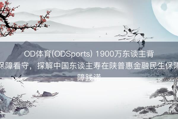 OD体育(ODSports) 1900万东谈主背后的保障看守，探解中国东谈主寿在陕普惠金融民生保障践诺