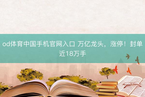 od体育中国手机官网入口 万亿龙头，涨停！封单近18万手