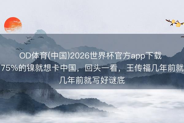 OD体育(中国)2026世界杯官方app下载 印菲凑了75%的镍就想卡中国，回头一看，王传福几年前就写好谜底