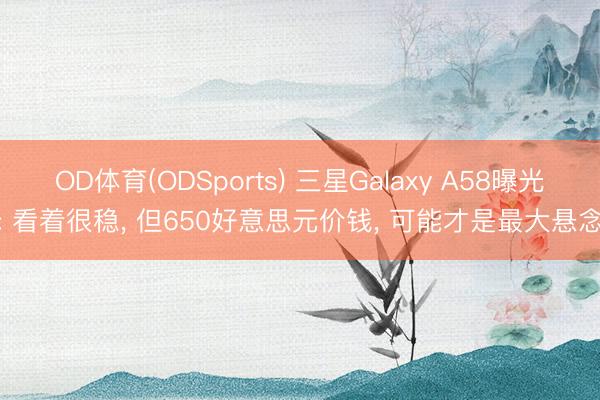 OD体育(ODSports) 三星Galaxy A58曝光: 看着很稳， 但650好意思元价钱， 可能才是最大悬念