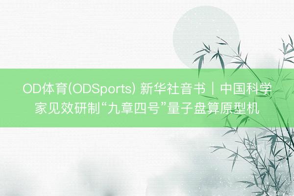 OD体育(ODSports) 新华社音书｜中国科学家见效研制“九章四号”量子盘算原型机