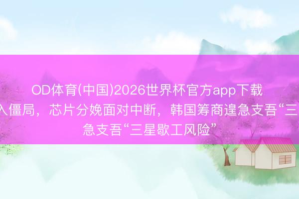 OD体育(中国)2026世界杯官方app下载 劳资谈判堕入僵局，芯片分娩面对中断，韩国筹商遑急支吾“三星歇工风险”