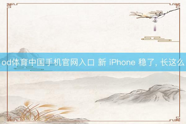 od体育中国手机官网入口 新 iPhone 稳了， 长这么