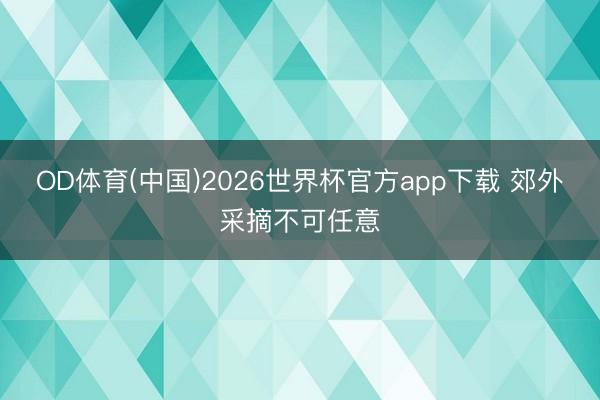 OD体育(中国)2026世界杯官方app下载 郊外采摘不可任意